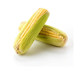 corn
